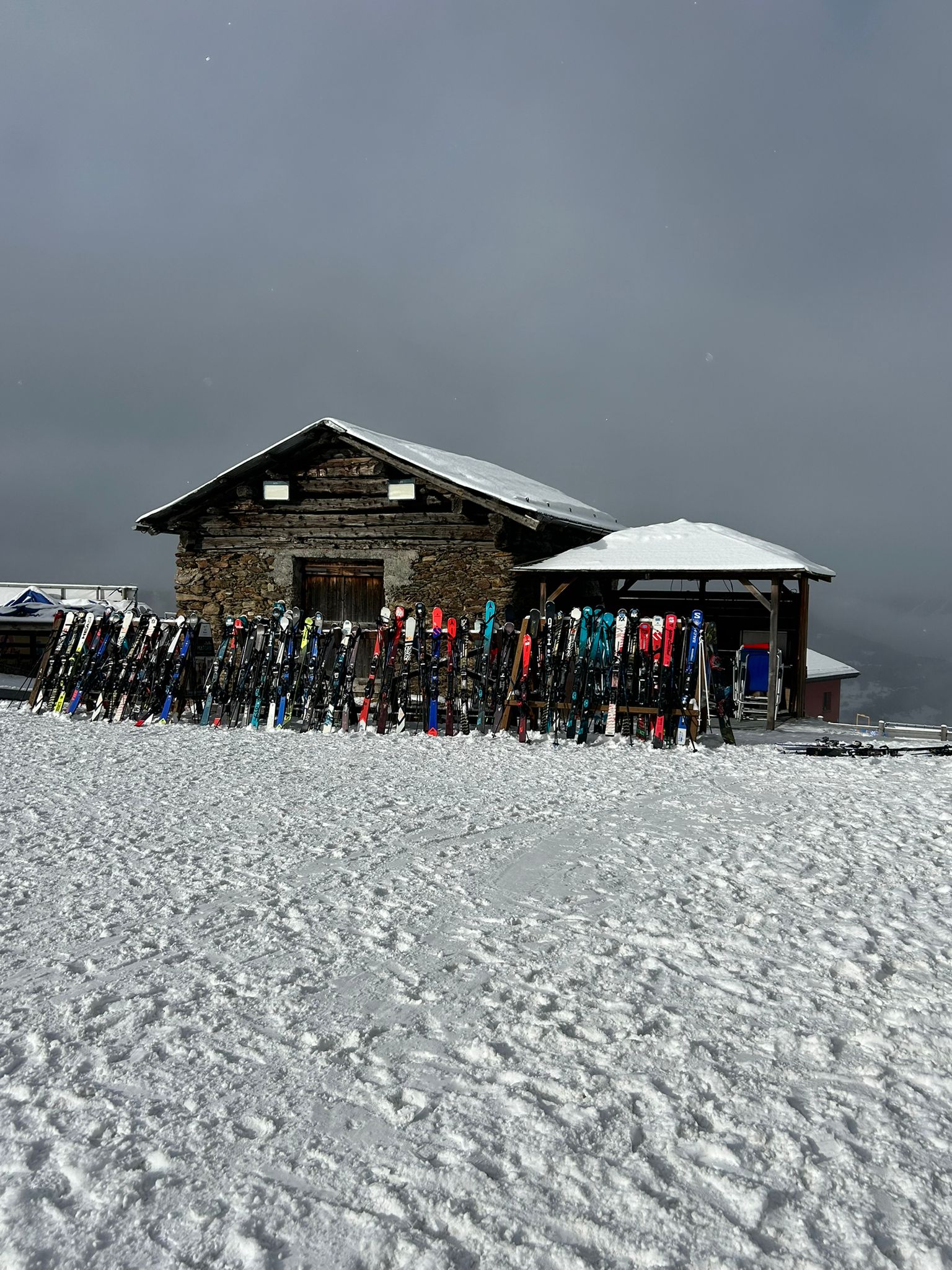Il Savoia Benincasa sulle nevi olimpiche di Bormio 2026 – IIS Savoia ...